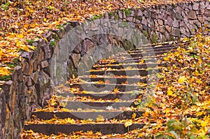 Stone steps strewn with yellow autumn leaves