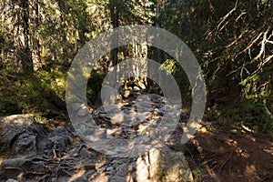 Stone steps on a track path at High Tatras mountains.