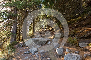 Stone steps on a track path at High Tatras mountains.