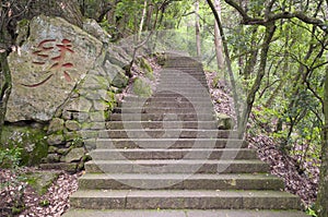 Stone steps at Tree King Scenic Area China