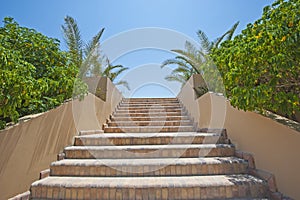 Stone steps in a tropical garden