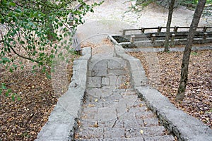 Stone steps in the woods on the monastery grounds