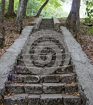 Stone steps in the woods on the monastery grounds.