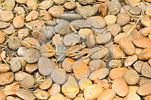 Brown Stones Way on Garden