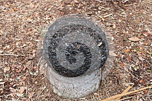 Stone Structures In Fred Howard Park In Tarpon Springs Florida