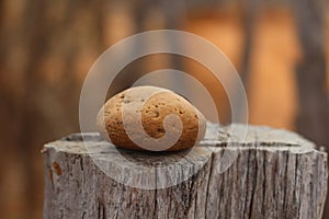 A stone on the stump