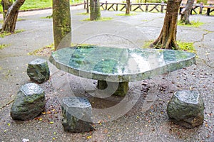 The Stone table and bench in the garden.