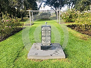 Stone Tablet for Drinking Water in the rose garden.