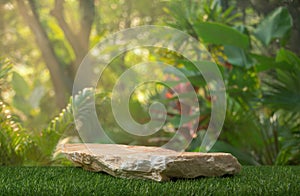 Stone tabletop podium floor in outdoors tropical garden forest blurred green leaf plant nature background.Natural product