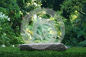 Stone tabletop podium floor in outdoors tropical garden forest blurred green leaf plant nature background.Natural product