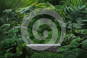 Stone tabletop podium floor in outdoors tropical garden forest blurred green leaf plant nature background.Natural product