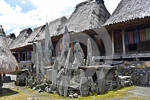 Stone tablets in Bena a traditional village with grass huts of the Ngada people in Flores.