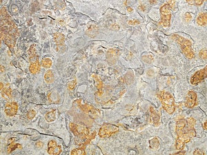 Stone texture