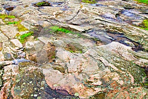 Stone texture as abstract grunge rough background. Close-up view of fjord shore. Natural granite hard rock surface.
