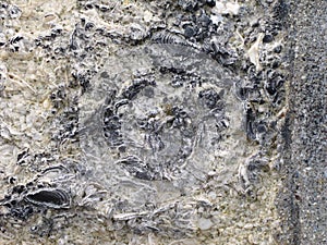 Stone texture background