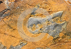 Stone texture background, abstract stone surface natural patterns for design.