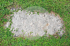 Stone texture background covered with green grass around. Concrete pattern with copy space at center