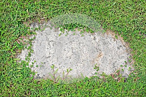 Stone texture background covered with green grass around. Concrete pattern with copy space at center