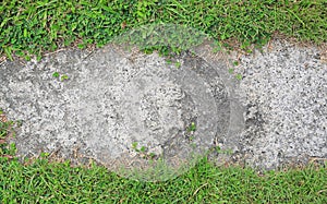 Stone texture background covered with green grass around. Concrete pattern with copy space at center