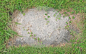 Stone texture background covered with green grass around. Concrete pattern with copy space at center