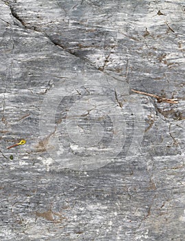 Stone texture background marble pattern in nature