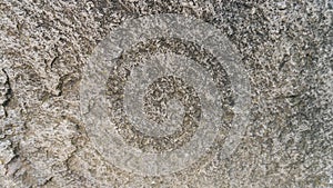 Stone Texture Background Miekinia Porphyry