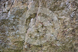 Stone texture or background, natural shot image