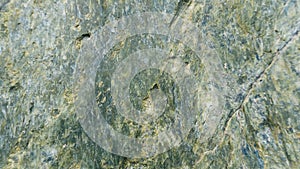Stone Texture Background. Serpentinite