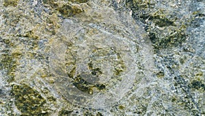 Stone Texture Background. Serpentinite