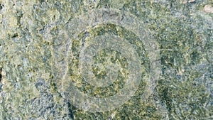 Stone Texture Background. Serpentinite