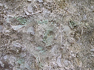 Stone texture background