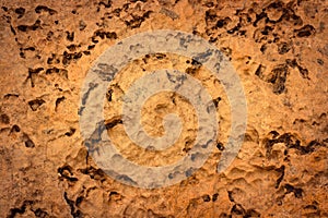 Stone texture background