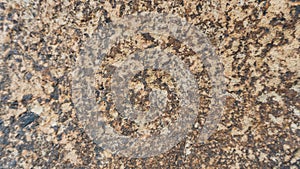 Stone Texture Background Volhynian Basalt