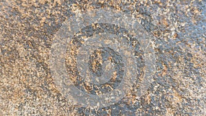 Stone Texture Background Volhynian Basalt