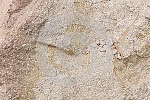 Stone texture close up background photo