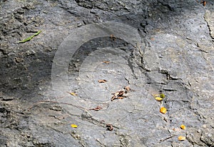 Stone texture marble pattern, erosion creates amazing in nature