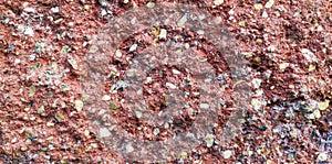 Stone texture red. Fone. Beautiful background. Banner photo