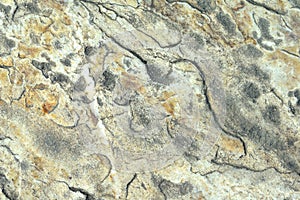 Stone Texture Series.