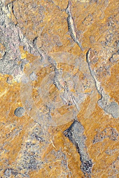 Stone Texture Series.