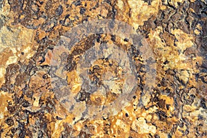 Stone Texture Series.