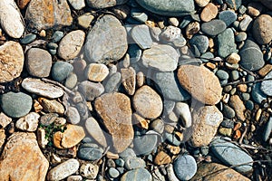 Stone texture, top view Close up abstract background with dry round reeble pattern, have dry leaves with stones