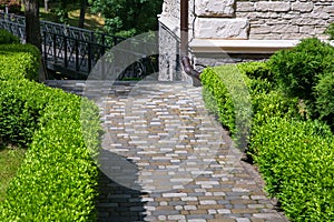 A stone tile path paved in the backyard with green clipped boxwood bushes.