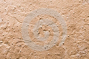 A Stone Tile in a Shower