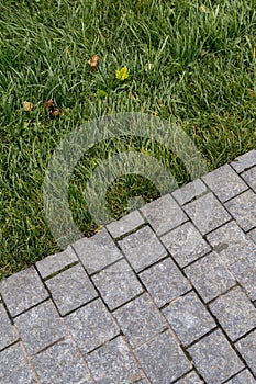 Stone tiles pavement texture with a grass. Footpaths pavement in park.