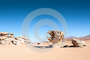 Stone tree Arbol de Piedra, Altiplano, Bolivia