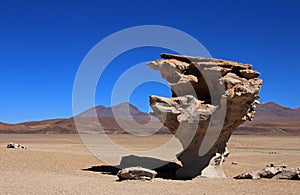 Stone tree or arbol de piedra in the desert of Bolivia