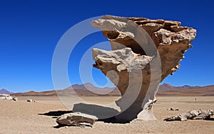 Stone tree or arbol de piedra in the desert of Bolivia