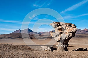 Stone Tree, Bolivia