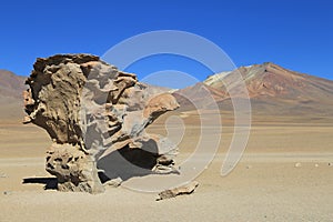 Stone Tree in Desert, Bolivia