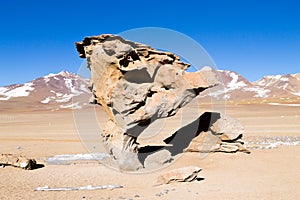 Stone Tree rock, Bolivia